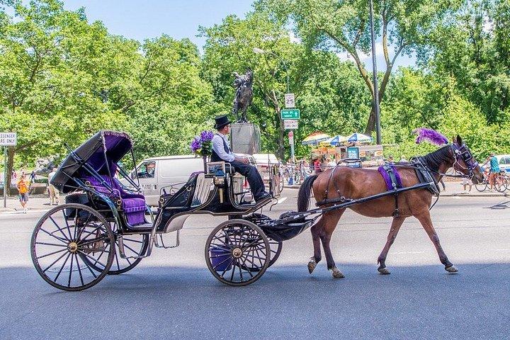 プライベートガイド付き馬車がセントラルパークを駆け抜ける