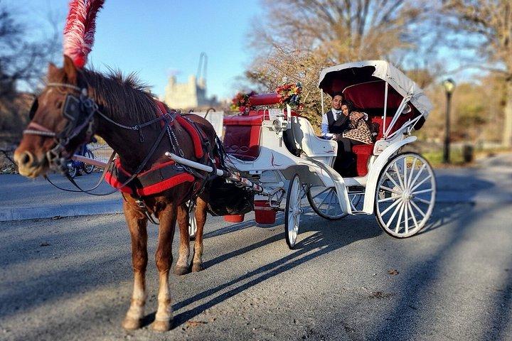 プライベートガイド付き馬車がセントラルパークを駆け抜ける