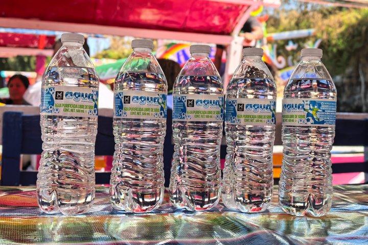 メキシコシティ：ゆったりとしたソチミルコボートツアー - 簡単な乗船とトップ