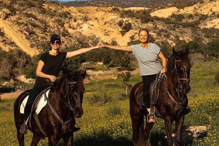 Horse Riding Adventure in Taghazout