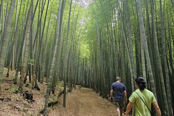 ホテル送迎付き釜山毎日プライベートツアー