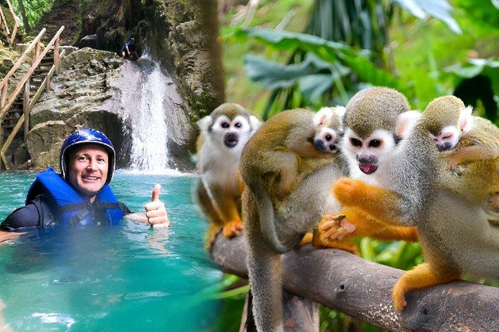 2x1 : Puerto Plata MonkeyLand og vandfald tur
