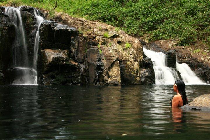 Glow-worms, Waterfalls & Rainforest Experience