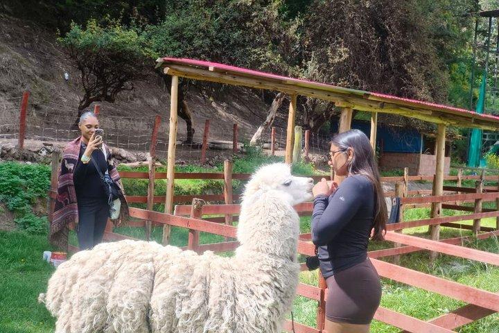 Cusco : visita el centro rescate de animales
