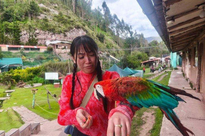 Cusco : visita el centro rescate de animales