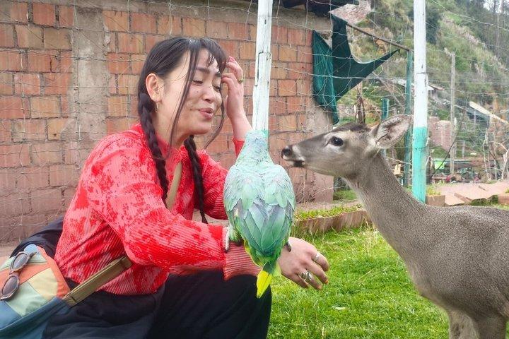 Cusco : visita el centro rescate de animales