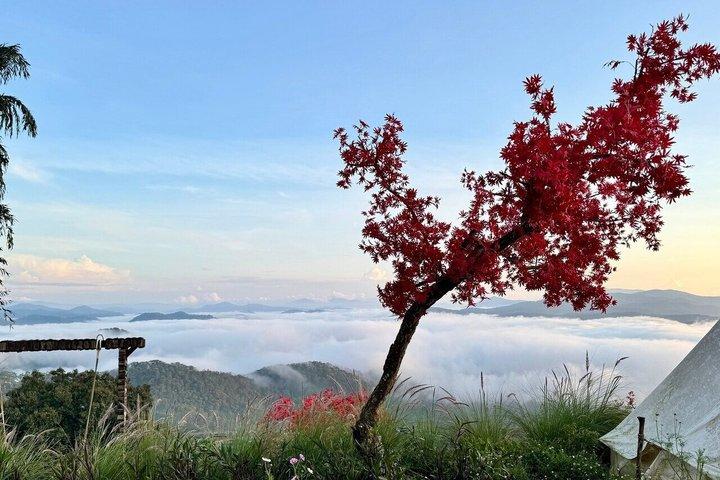 Caça às Nuvens e Amanhecer de Ouro em Da Lat