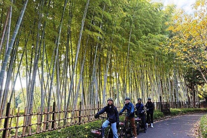 東京ハイライト＆ローカルライフEバイクツアー 少人数制3時間