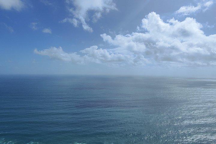 西海岸の自然体験 - オークランド発のプライベート ツアー