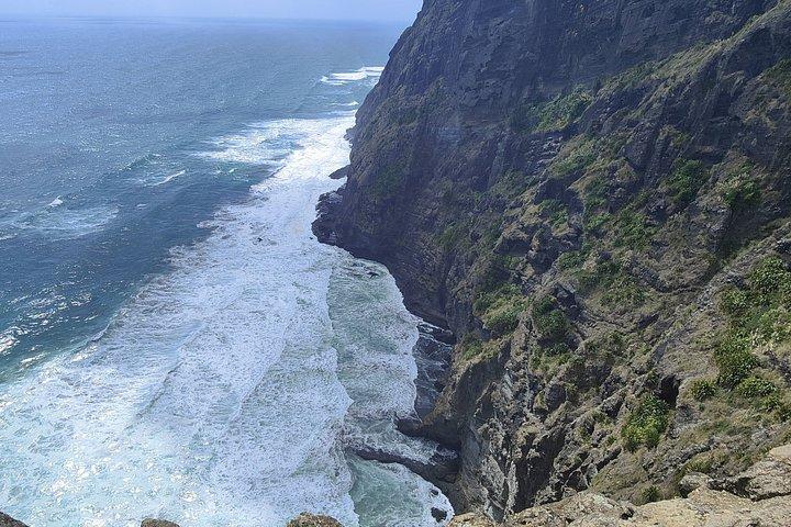 西海岸の自然体験 - オークランド発のプライベート ツアー