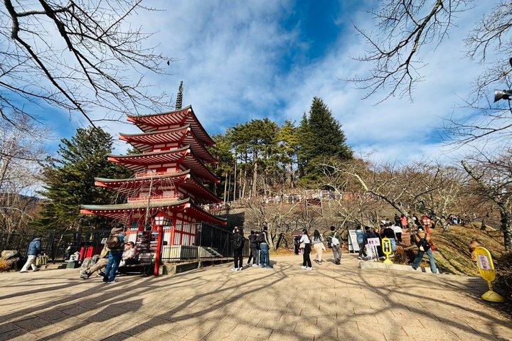 忠霊塔新倉山＆薬草園ガイドツアー