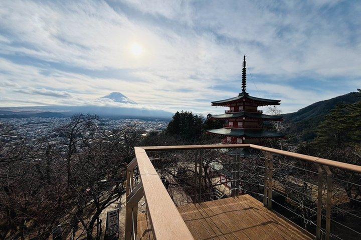 忠霊塔新倉山＆薬草園ガイドツアー