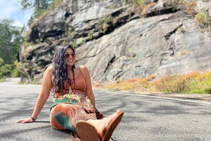 Transfert privé de Kandy à Ella avec arrêts panoramiques