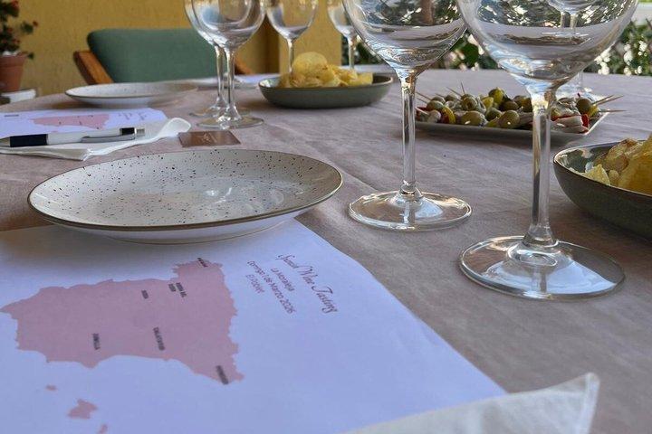 Degustazione di vini spagnoli