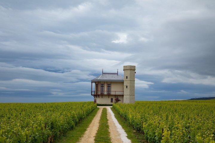 Prestigioso tour del vino nella Côte de Nuits