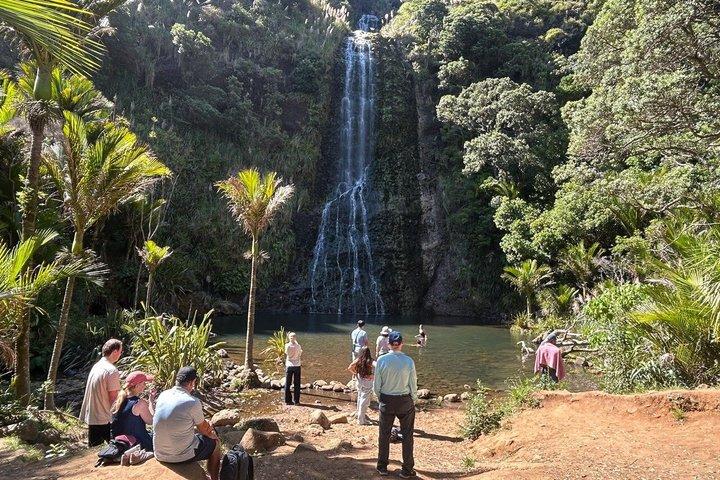 プライベートオークランドツアーエデン山、滝、黒砂のビーチなど