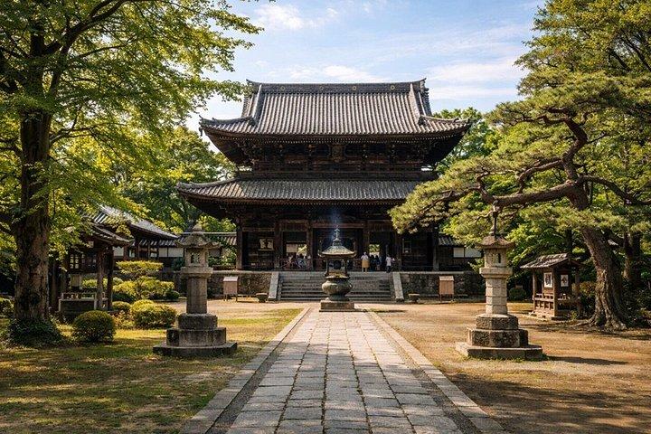 英語ガイド付き東京足利フラワーパークプライベートツアーより