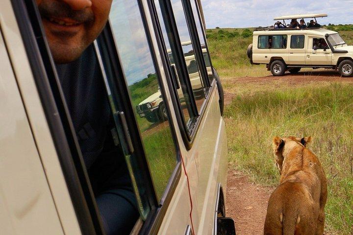 2026 Nairobi Excursion Suite