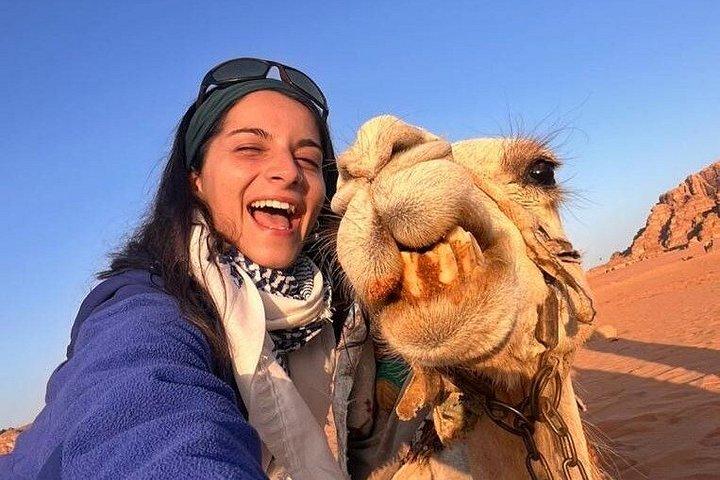 One Day Petra and Wadi Rum with Pick Up