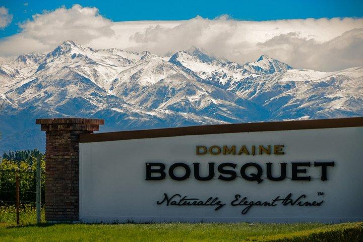 Visite privée + vignobles de la vallée d'Uco