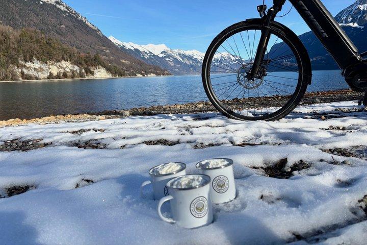 Interlaken Valley Winter E-bike Tour: Floder, søer og slotte