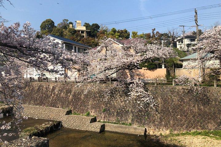 桜の季節にぴったりの隠れ家ツアー撮影