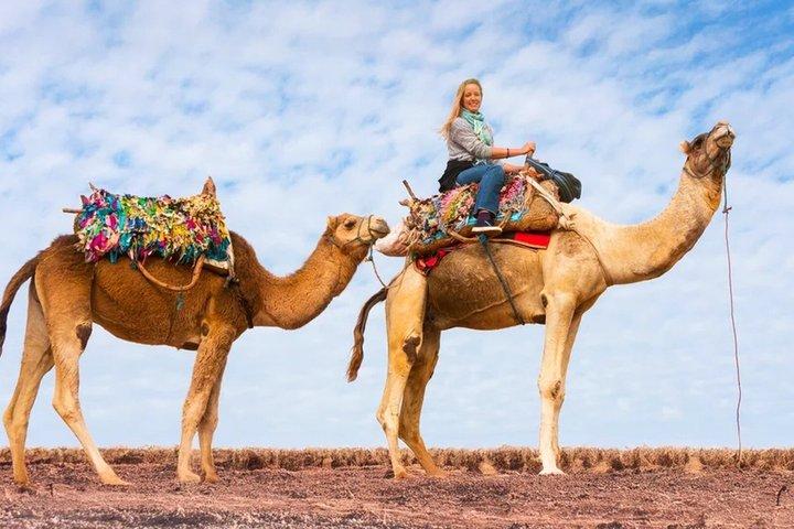 Desert Agafay Marrakech Sunset Camel Ride, Abendessen Sw Hotel Abholung