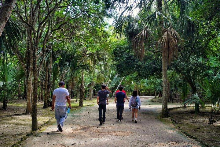 Chacchoben Ruínas Maias Tour Privado e Praia Mahahual Local