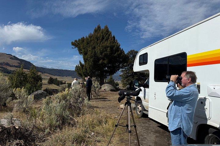 Yellowstone Upper Loop Tour with Lunch