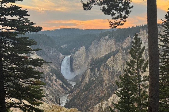 Yellowstone Upper Loop Tour with Lunch