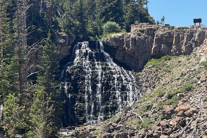 Yellowstone Upper Loop Tour with Lunch
