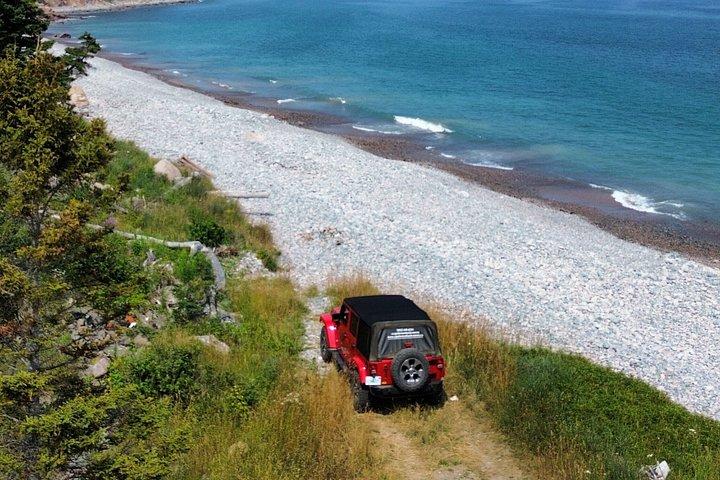 Cabot Trail: Rundtur med privata natursköna höjdpunkter