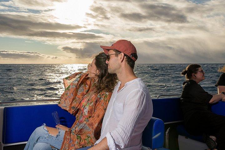 Private Katamarantour mit Open Bar ab Funchal