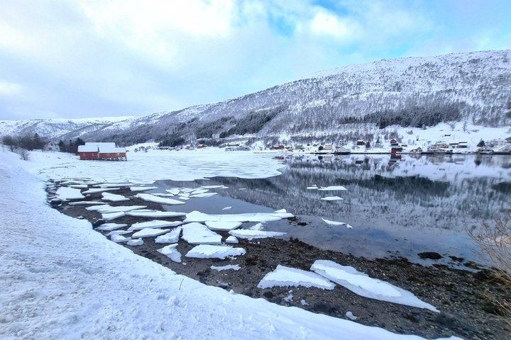 Tromsø: Tour des Fjords et Visite à Sommarøy en Français