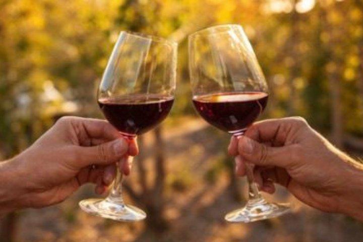 Arrabida Private Scenic Coast Tour and Wine Experience