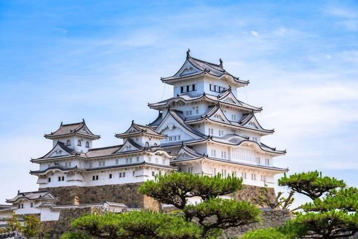 Salida de Osaka : Excursión privada de un día al castillo de Himeji personalizado