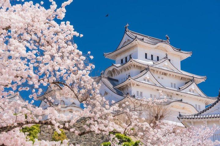 Osaka Départ : Excursion d'une journée privée personnalisée au château de Himeji