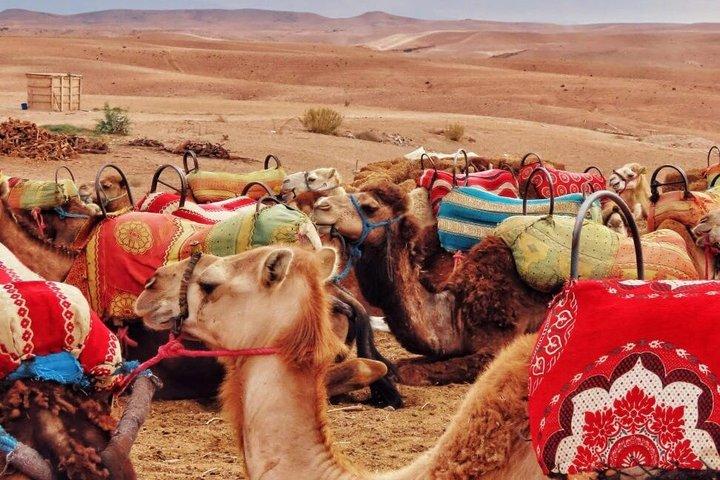 Marrakech Agafay Desert Dinner con quad e giro in cammello