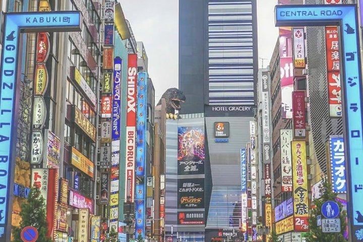 Tokyo Shinjuku guidet vandretur med Gyoen Garden billet