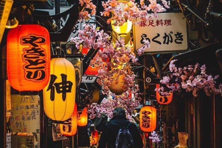 Tokyo Shinjuku guidet vandretur med Gyoen Garden billet