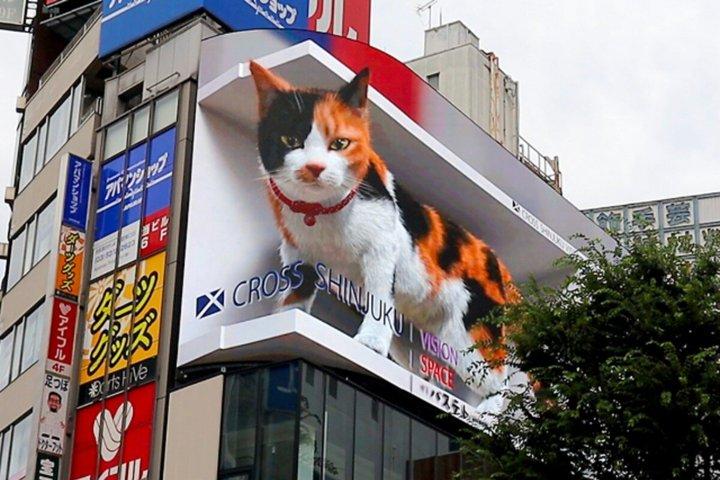東京新宿ガイド付きウォーキングツアー（御苑ガーデンチケット付き）