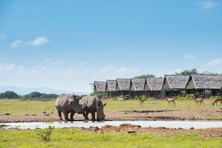 3 Tage Ol Pejeta Flug Safari