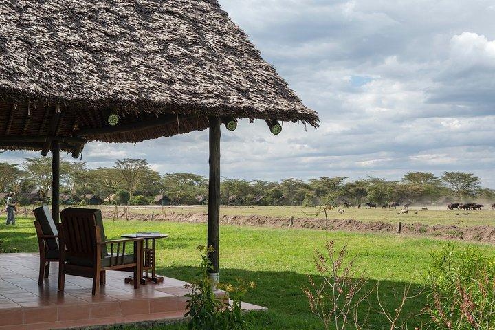 3 Tage Ol Pejeta Flug Safari