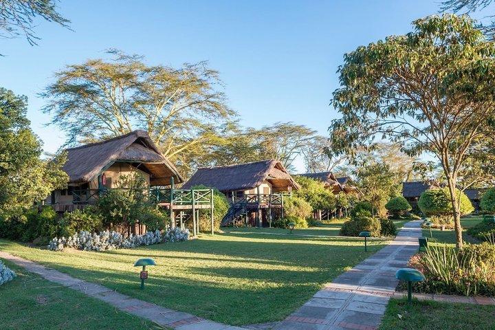3 Tage Ol Pejeta Flug Safari