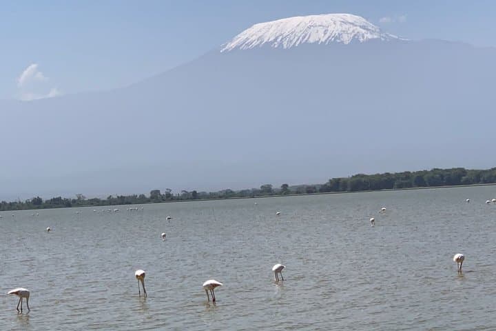 Amboseli National Park Wildlife Encounter 3 Days 2 Nights