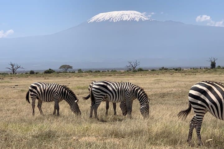Amboseli National Park Wildlife Encounter 3 Days 2 Nights