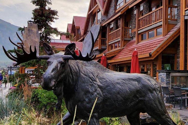Explorez le parc national Banff au départ de Calgary