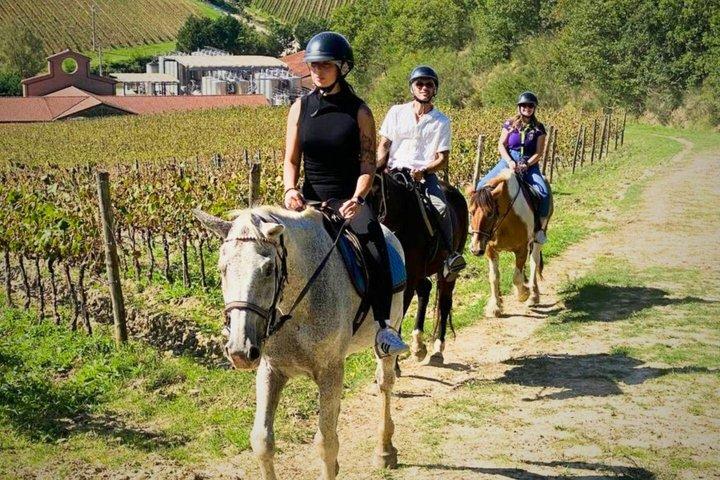 Toskana Reit- und Weinguttour mit Mittagessen