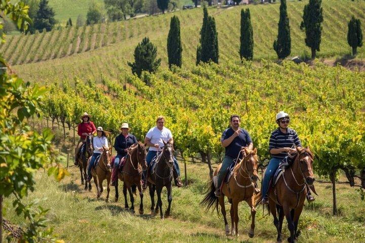 Toskana Reit- und Weinguttour mit Mittagessen