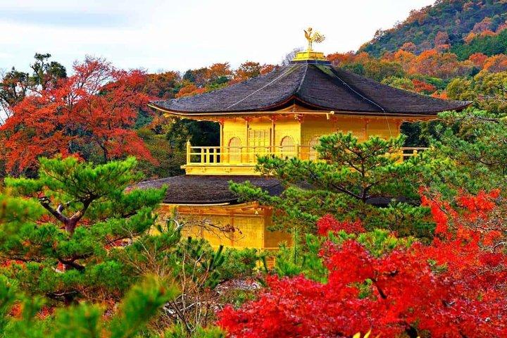 Kyoto Tour vanuit Osaka : Kinkaku-ji Arashiyama, Fushimi Inari & Uji
